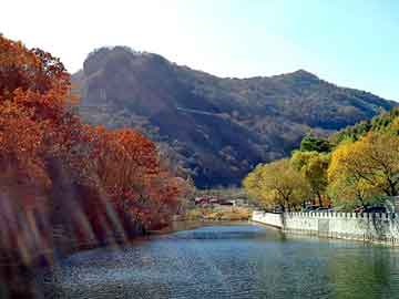 新澳天天开奖资料大全旅游团，太平间女尸图片